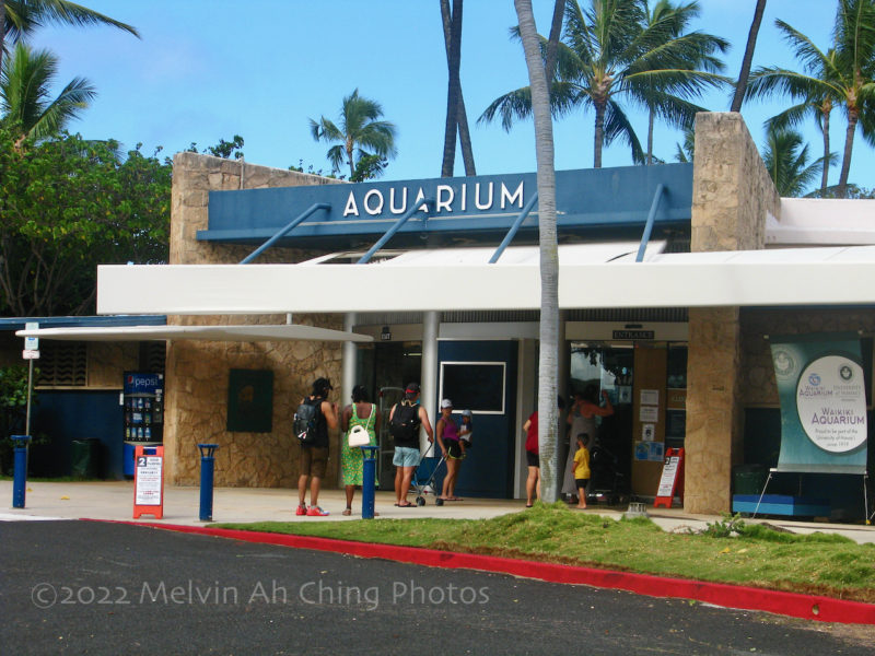 Waikiki Aquarium Entrance
