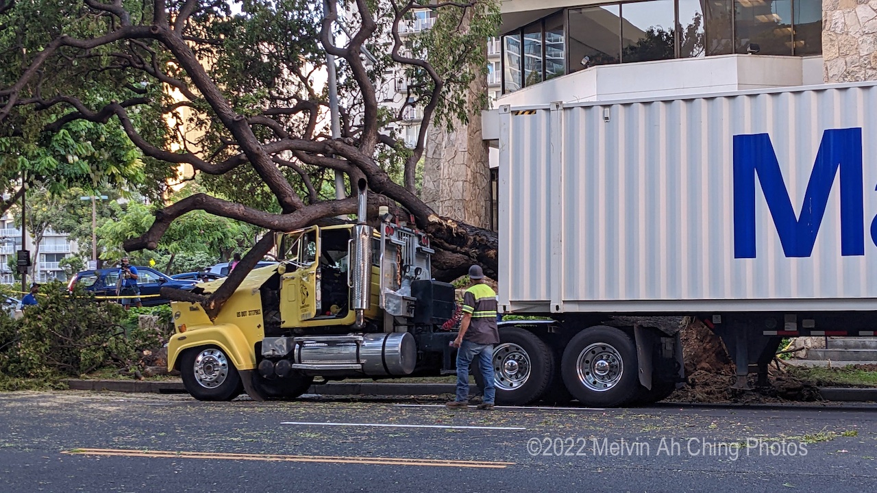 Truck Crash Into Tree - 9-8-2022